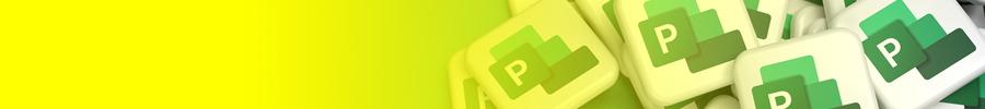 Microsoft Project Intermediate Course
